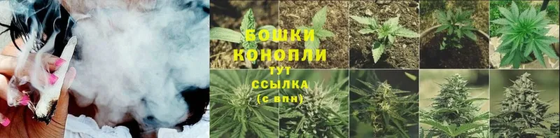 Конопля VHQ  Чебаркуль 